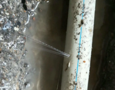 德兴测漏水哪家好