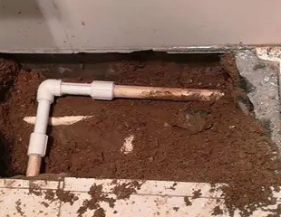 德兴测漏水哪家好