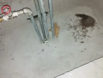 德兴卫生间测漏水价格明细