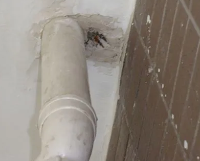 德兴漏水检测哪家好